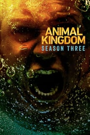 Animal Kingdom Season 3