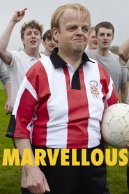 Marvellous (2014)