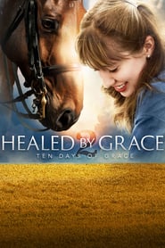 Healed by Grace 2 (2016)